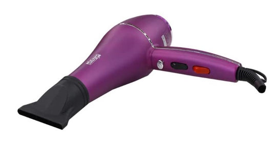 Frizz Free Hair Dryer