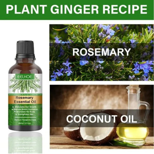 Rosemary Hair Care Essential Oil